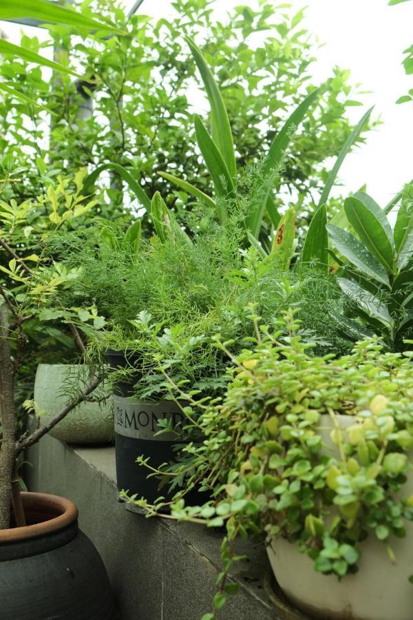 Auntie Liên's Homestay Hanoi Exterior foto